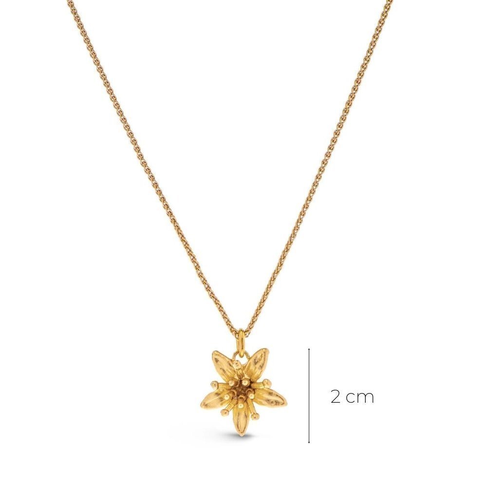 Pandantiv Phillis Money