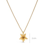 Pandantiv Phillis Money